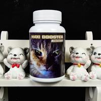 Vitamin kucing terbaik vitamin bulu nafsu makan imun dan pencernaan