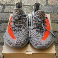 reflective beluga 350