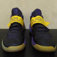 nike lebron ambassador 12