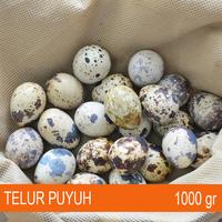 Telur Puyuh Mentah 1 Kg Fresh