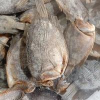 ikan asin tembakang kecil 1 kg