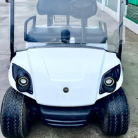 golf buggy cart