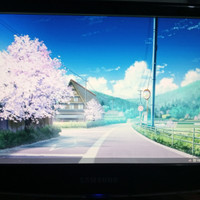 monitor samsung 19