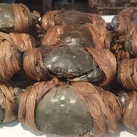 KEPITING HIJAU / KEPITING JAWA 500gr