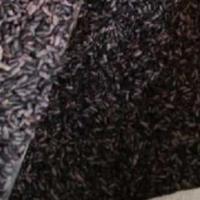 TERMURAH KETAN HITAM KERING ORIGINAL- 1KG