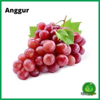 Anggur aldana sayur garut 1kg