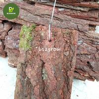 Papan Pinus Media Anggrek