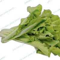 sawi keriting 250 gr