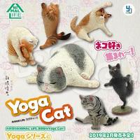 Figure Animal Life Yoga Cat Type B