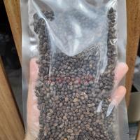 BIJI PEPAYA KERING / DRIED PAPAYA SEEDS 500GR