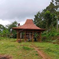 rumah joglo model pendopo murah 6 x 8