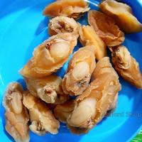 Ready Abalon Kering Kualitas Super Size Xxl 100Gm / Abalone Bao Hu Bao