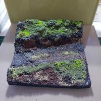 Diorama