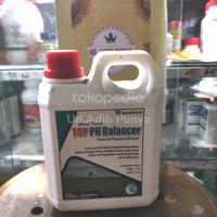top ph balancer 1 liter