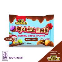 Wonhae Gummy Choco Truffle Mixed Fruit 35gr