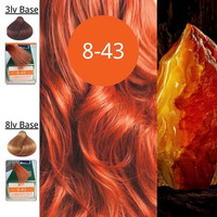 Cat Rambut YeShu Profession Hair Color 100ml Low Ammonia 8-43