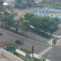 10 jenis pohon peneduh sekaligus Pelinding