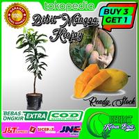 MANGGA KIOJAY OKULASI