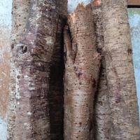 Kayu Kaboa Asli Sancang Garut/50cm