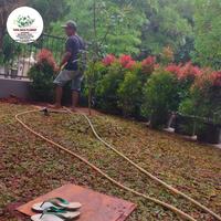 taman rumah nusa loka bsd