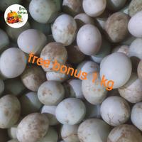 telur bebek mentah per btr + gratis bonus