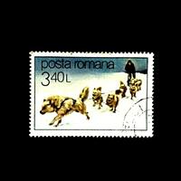 Prangko Rumania Sled Dogs.