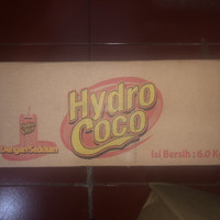 Hydro Coco Karton 24x250ml