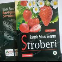 budidaya stroberi sukses bertanam stroberi original