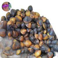 Haremis sungai/cece 500 gram