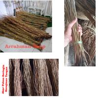 Akar pohon beringin diambil saat di pesan 1 kg