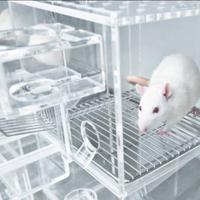 Kandang Metabolik Tikus/Metabolic Cage Roden Acrylic