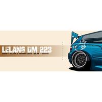 PEBRI ANSARY LELANG DM 223 DIECAST HOTWHEELS