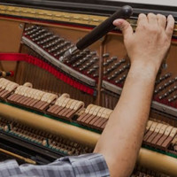 Jasa Tuning piano / Stem piano
