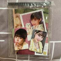 photopack winter season's greetings 2022
