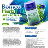 Borneo Herb Arthrospira