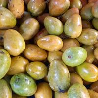 Buah Mangga udang Haranggaol Samosir 500g