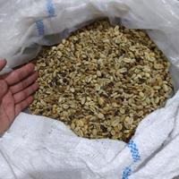 FRESH!! Green Bean Kopi Gayo Cabutan Natural 1 kg - Bener Coffee