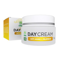 BEAUTY DAY CREAM HNI HPAI