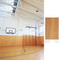 Lantai Vinyl Lapangan Basket Duraflex Series / Vinyl Sport /roll