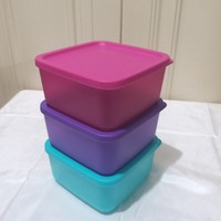 Tempat Makan Bekal Tupperware Small Summer Lunch Box 650ml
