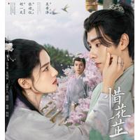 Draman Blossoms in Adversity