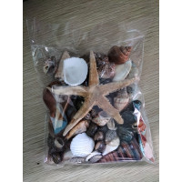 Aksesoris Kerang Laut Campuran 300gram