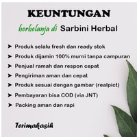 [INI ADA] Purwaceng bubuk 500 gram / Serbuk Purwaceng Ori