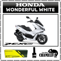 Cat Oles Honda PCX 160 Wonderful White Automotive Paint CHAMELEON NGL