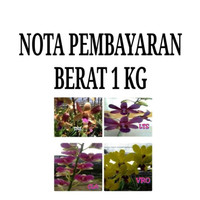 Kilat Pembayaran Tanaman Live Streaming 1 Kg
