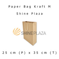 Paper Bag Polos Ukuran Medium 25x35 cm Bahan Kraft Tebal 150gsm - Tas Karton Kantong Penyimpanan Sedang Size M