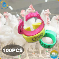 【100 pcs】Gelang Kaki Ayam/Cincin Kaki Ayam Adjustable/Cincin Kaki