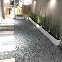 pembuatan taman cafe simpel batu coral tanaman ekor kuda dll