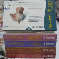REVOLUTION DOG (HARGA 1 SINGLE TUBE) OBAT KUTU ANJING REVOLUTION