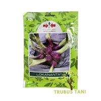 PROMO!!! Lokananta 800BIJI Benih Bawang Merah - Panah merah